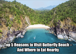 Read more about the article Top 5 Reasons to Visit Butterfly Beach – And Where to Eat Nearby